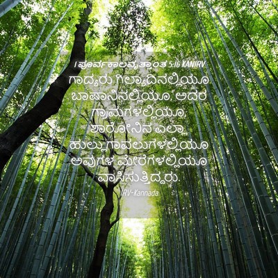 Picture 04 - 1 ಪೂರ್ವಕಾಲವೃತ್ತಾಂತ 5:16 KANIRV - ಗಾದ್ಯರು - Bible Verse Picture