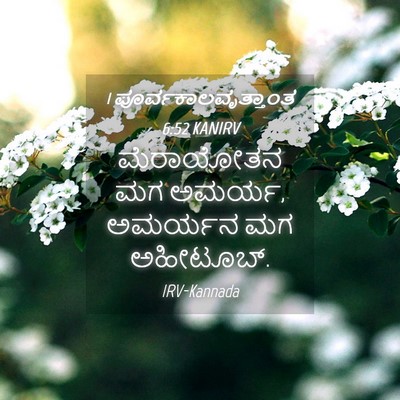 Picture 04 - 1 ಪೂರ್ವಕಾಲವೃತ್ತಾಂತ 6:52 KANIRV - ಮೆರಾಯೋತನ ಮಗ ಅಮರ್ಯ, - Bible Verse Picture