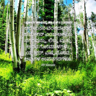 Picture 04 - 1 ಪೂರ್ವಕಾಲವೃತ್ತಾಂತ 6:57 KANIRV - ಆರೋನನ ವಂಶದವರಿಗೆ - Bible Verse Picture