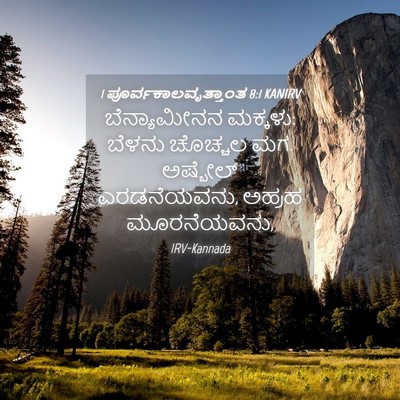 Picture 04 - 1 ಪೂರ್ವಕಾಲವೃತ್ತಾಂತ 8:1 KANIRV - ಬೆನ್ಯಾಮೀನನ - Bible Verse Picture