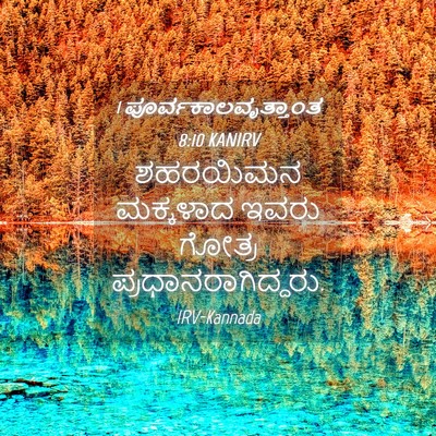 Picture 04 - 1 ಪೂರ್ವಕಾಲವೃತ್ತಾಂತ 8:10 KANIRV - ಶಹರಯಿಮನ ಮಕ್ಕಳಾದ - Bible Verse Picture