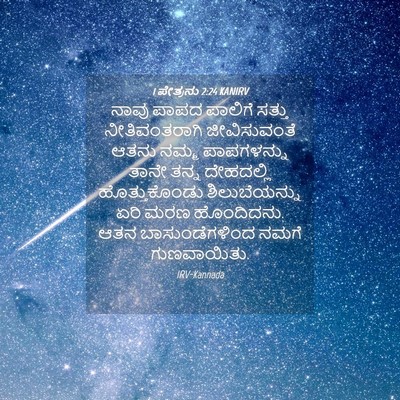 Picture 04 - 1 ಪೇತ್ರನು 2:24 KANIRV - ನಾವು ಪಾಪದ ಪಾಲಿಗೆ - Bible Verse Picture