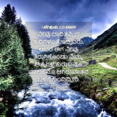 Picture 04 - 1 ಪೇತ್ರನು 2:25 KANIRV - ನೀವು ದಾರಿತಪ್ಪಿದ - Bible Verse Picture