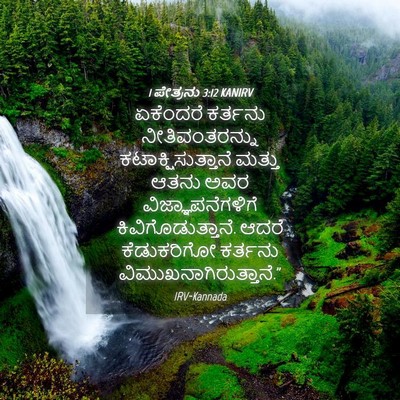 Picture 04 - 1 ಪೇತ್ರನು 3:12 KANIRV - ಏಕೆಂದರೆ ಕರ್ತನು - Bible Verse Picture