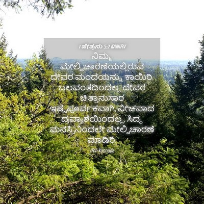 Picture 04 - 1 ಪೇತ್ರನು 5:2 KANIRV - ನಿಮ್ಮ - Bible Verse Picture