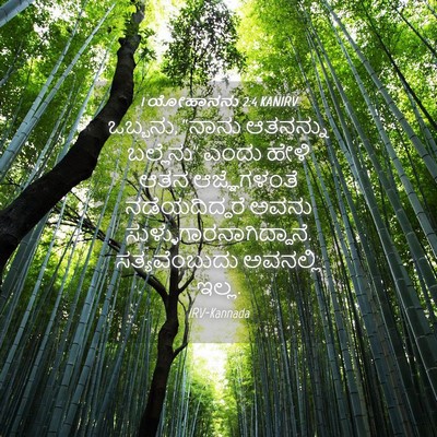 Picture 04 - 1 ಯೋಹಾನನು 2:4 KANIRV - ಒಬ್ಬನು, “ನಾನು - Bible Verse Picture