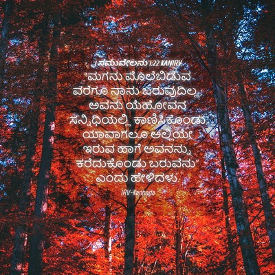 Picture 04 - 1 ಸಮುವೇಲನು 1:22 KANIRV - “ಮಗನು ಮೊಲೆಬಿಡುವ - Bible Verse Picture