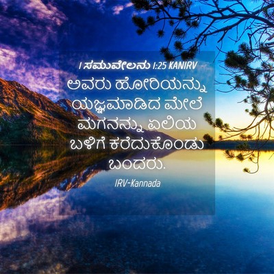 Picture 04 - 1 ಸಮುವೇಲನು 1:25 KANIRV - ಅವರು ಹೋರಿಯನ್ನು - Bible Verse Picture