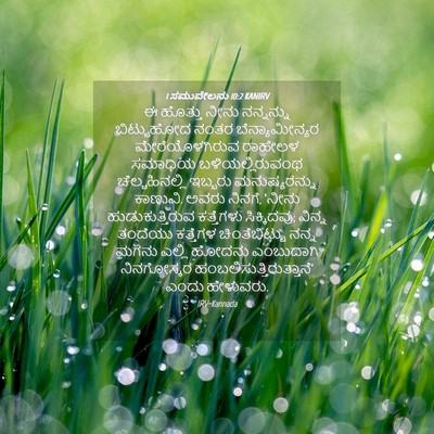 Picture 04 - 1 ಸಮುವೇಲನು 10:2 KANIRV - ಈ ಹೊತ್ತು ನೀನು - Bible Verse Picture