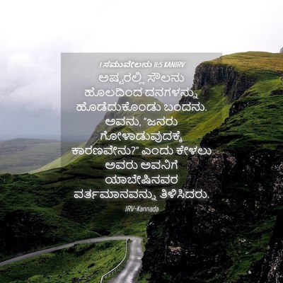 Picture 04 - 1 ಸಮುವೇಲನು 11:5 KANIRV - ಅಷ್ಟರಲ್ಲಿ ಸೌಲನು - Bible Verse Picture
