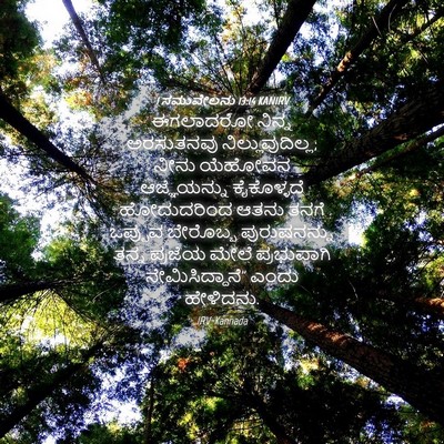 Picture 04 - 1 ಸಮುವೇಲನು 13:14 KANIRV - ಈಗಲಾದರೋ ನಿನ್ನ - Bible Verse Picture