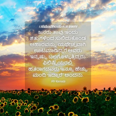 Picture 04 - 1 ಸಮುವೇಲನು 14:30 KANIRV - ಜನರು ತಾವು ಇಂದು - Bible Verse Picture