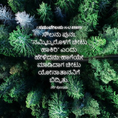 Picture 04 - 1 ಸಮುವೇಲನು 14:42 KANIRV - ಸೌಲನು ಪುನಃ, - Bible Verse Picture