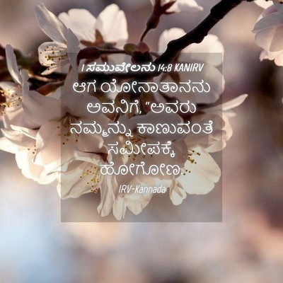 Picture 04 - 1 ಸಮುವೇಲನು 14:8 KANIRV - ಆಗ ಯೋನಾತಾನನು - Bible Verse Picture
