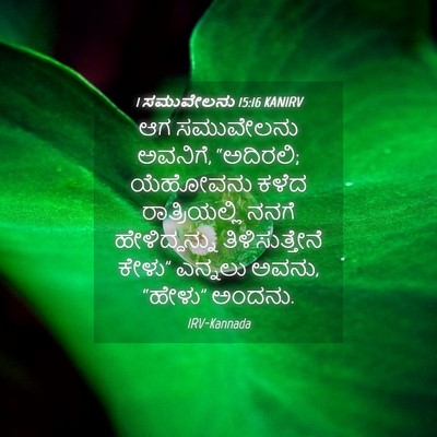 Picture 04 - 1 ಸಮುವೇಲನು 15:16 KANIRV - ಆಗ ಸಮುವೇಲನು - Bible Verse Picture