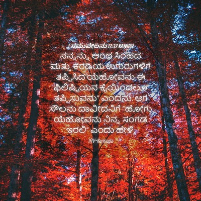Picture 04 - 1 ಸಮುವೇಲನು 17:37 KANIRV - ನನ್ನನ್ನು ಅಂಥ - Bible Verse Picture