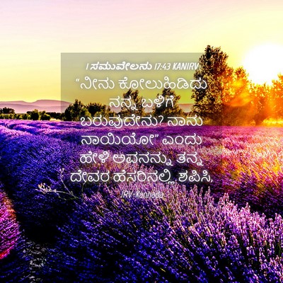 Picture 04 - 1 ಸಮುವೇಲನು 17:43 KANIRV - “ನೀನು ಕೋಲುಹಿಡಿದು - Bible Verse Picture
