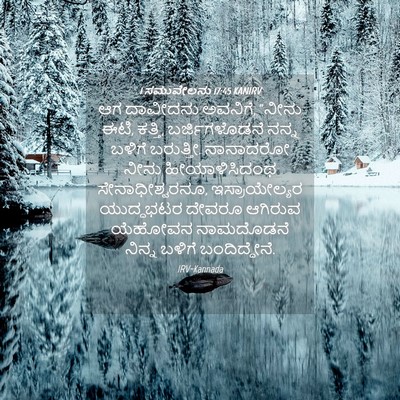 Picture 04 - 1 ಸಮುವೇಲನು 17:45 KANIRV - ಆಗ ದಾವೀದನು ಅವನಿಗೆ, - Bible Verse Picture