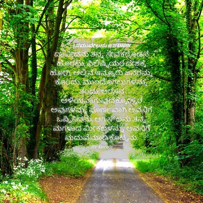 Picture 04 - 1 ಸಮುವೇಲನು 18:27 KANIRV - ದಾವೀದನು ತನ್ನ - Bible Verse Picture