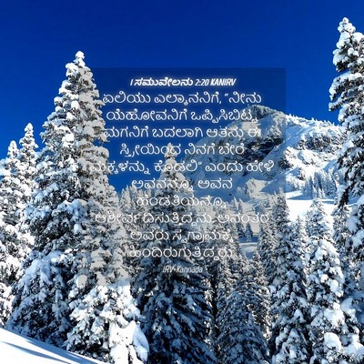 Picture 04 - 1 ಸಮುವೇಲನು 2:20 KANIRV - ಏಲಿಯು ಎಲ್ಕಾನನಿಗೆ, - Bible Verse Picture