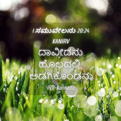 Picture 04 - 1 ಸಮುವೇಲನು 20:24 KANIRV - ದಾವೀದನು ಹೊಲದಲ್ಲಿ - Bible Verse Picture