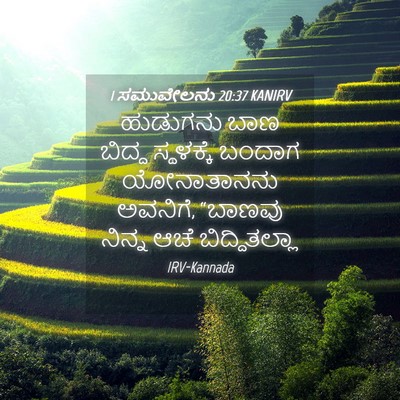 Picture 04 - 1 ಸಮುವೇಲನು 20:37 KANIRV - ಹುಡುಗನು ಬಾಣ ಬಿದ್ದ - Bible Verse Picture