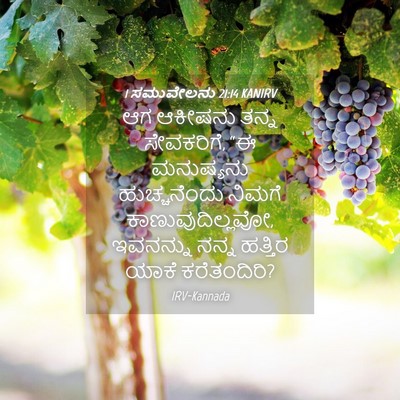 Picture 04 - 1 ಸಮುವೇಲನು 21:14 KANIRV - ಆಗ ಆಕೀಷನು ತನ್ನ - Bible Verse Picture