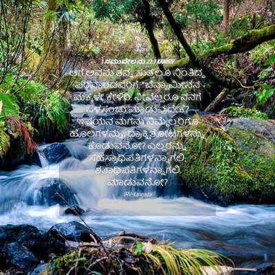 Picture 04 - 1 ಸಮುವೇಲನು 22:7 KANIRV - ಆಗ ಅವನು ತನ್ನ - Bible Verse Picture