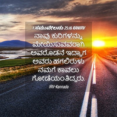 Picture 04 - 1 ಸಮುವೇಲನು 25:16 KANIRV - ನಾವು ಕುರಿಗಳನ್ನು - Bible Verse Picture