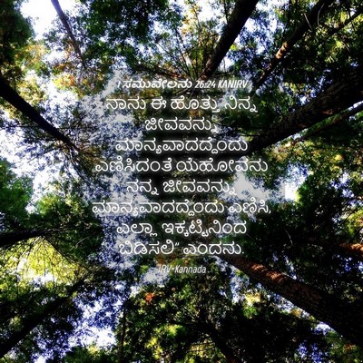 Picture 04 - 1 ಸಮುವೇಲನು 26:24 KANIRV - ನಾನು ಈ ಹೊತ್ತು - Bible Verse Picture
