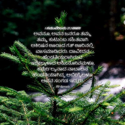 Picture 04 - 1 ಸಮುವೇಲನು 27:3 KANIRV - ಅವನೂ, ಅವನ ಜನರೂ ತಮ್ಮ - Bible Verse Picture