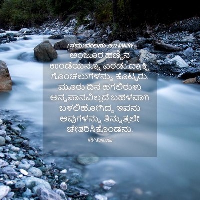 Picture 04 - 1 ಸಮುವೇಲನು 30:12 KANIRV - ಅಂಜೂರ ಹಣ್ಣಿನ - Bible Verse Picture