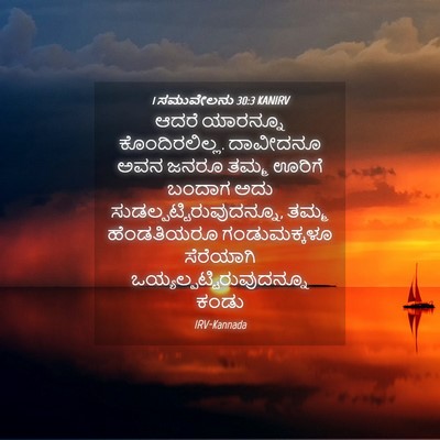 Picture 04 - 1 ಸಮುವೇಲನು 30:3 KANIRV - ಆದರೆ ಯಾರನ್ನೂ - Bible Verse Picture