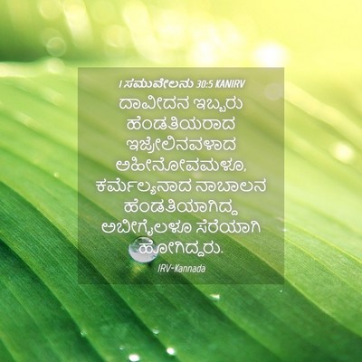 Picture 04 - 1 ಸಮುವೇಲನು 30:5 KANIRV - ದಾವೀದನ ಇಬ್ಬರು - Bible Verse Picture