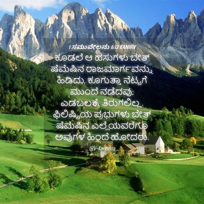 Picture 04 - 1 ಸಮುವೇಲನು 6:12 KANIRV - ಕೂಡಲೆ ಆ ಹಸುಗಳು - Bible Verse Picture