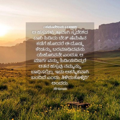 Picture 04 - 1 ಸಮುವೇಲನು 6:9 KANIRV - ಅ ಹಸುಗಳು ತಾವಾಗಿ - Bible Verse Picture