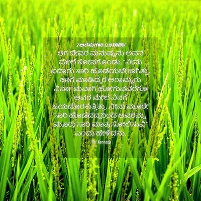 Picture 04 - 2 ಅರಸುಗಳು 13:19 KANIRV - ಆಗ ದೇವರ ಮನುಷ್ಯನು - Bible Verse Picture