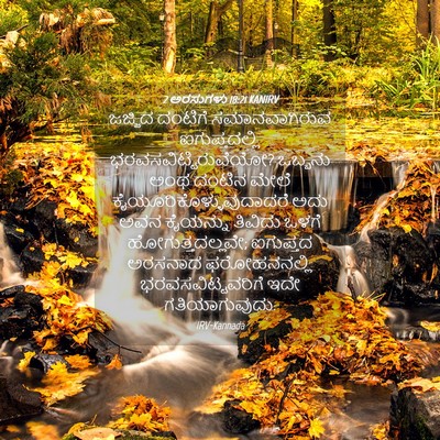 Picture 04 - 2 ಅರಸುಗಳು 18:21 KANIRV - ಜಜ್ಜಿದ ದಂಟಿಗೆ - Bible Verse Picture