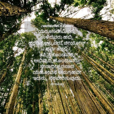 Picture 04 - 2 ಅರಸುಗಳು 19:31 KANIRV - ಯೆರೂಸಲೇಮಿನಲ್ಲಿ - Bible Verse Picture