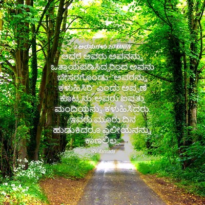 Picture 04 - 2 ಅರಸುಗಳು 2:17 KANIRV - ಆದರೆ ಅವರು ಅವನನ್ನು - Bible Verse Picture