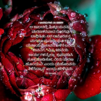 Picture 04 - 2 ಅರಸುಗಳು 20:1 KANIRV - ಆ ಕಾಲದಲ್ಲಿ - Bible Verse Picture