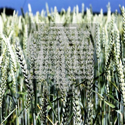 Picture 04 - 2 ಅರಸುಗಳು 23:2 KANIRV - ಅರಸನು - Bible Verse Picture