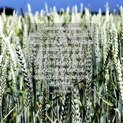 Picture 04 - 2 ಅರಸುಗಳು 3:23 KANIRV - ಇವರು, “ಅದು ರಕ್ತ! - Bible Verse Picture