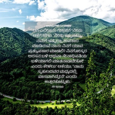 Picture 04 - 2 ಅರಸುಗಳು 4:13 KANIRV - ಆಗ ಎಲೀಷನು ಗೇಹಜಿಗೆ - Bible Verse Picture