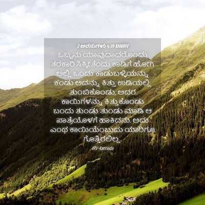 Picture 04 - 2 ಅರಸುಗಳು 4:39 KANIRV - ಒಬ್ಬನು - Bible Verse Picture