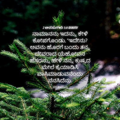 Picture 04 - 2 ಅರಸುಗಳು 5:11 KANIRV - ನಾಮಾನನು ಇದನ್ನು - Bible Verse Picture