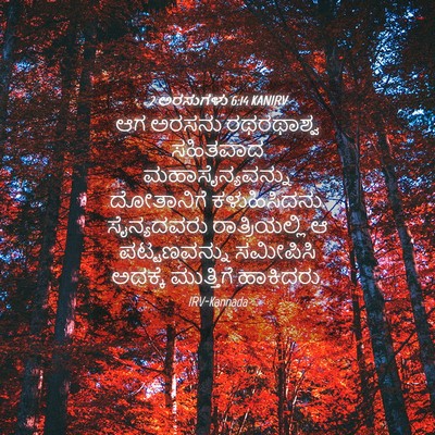 Picture 04 - 2 ಅರಸುಗಳು 6:14 KANIRV - ಆಗ ಅರಸನು ರಥರಥಾಶ್ವ - Bible Verse Picture