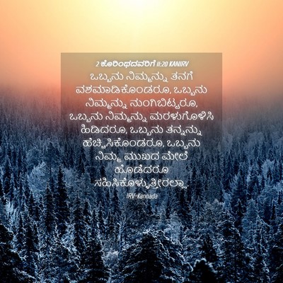 Picture 04 - 2 ಕೊರಿಂಥದವರಿಗೆ 11:20 KANIRV - ಒಬ್ಬನು ನಿಮ್ಮನ್ನು - Bible Verse Picture