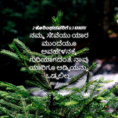 Picture 04 - 2 ಕೊರಿಂಥದವರಿಗೆ 6:3 KANIRV - ನಮ್ಮ ಸೇವೆಯು ಯಾರ - Bible Verse Picture