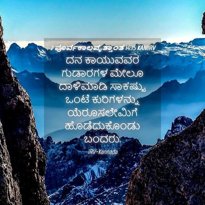 Picture 04 - 2 ಪೂರ್ವಕಾಲವೃತ್ತಾಂತ 14:15 KANIRV - ದನ ಕಾಯುವವರ - Bible Verse Picture